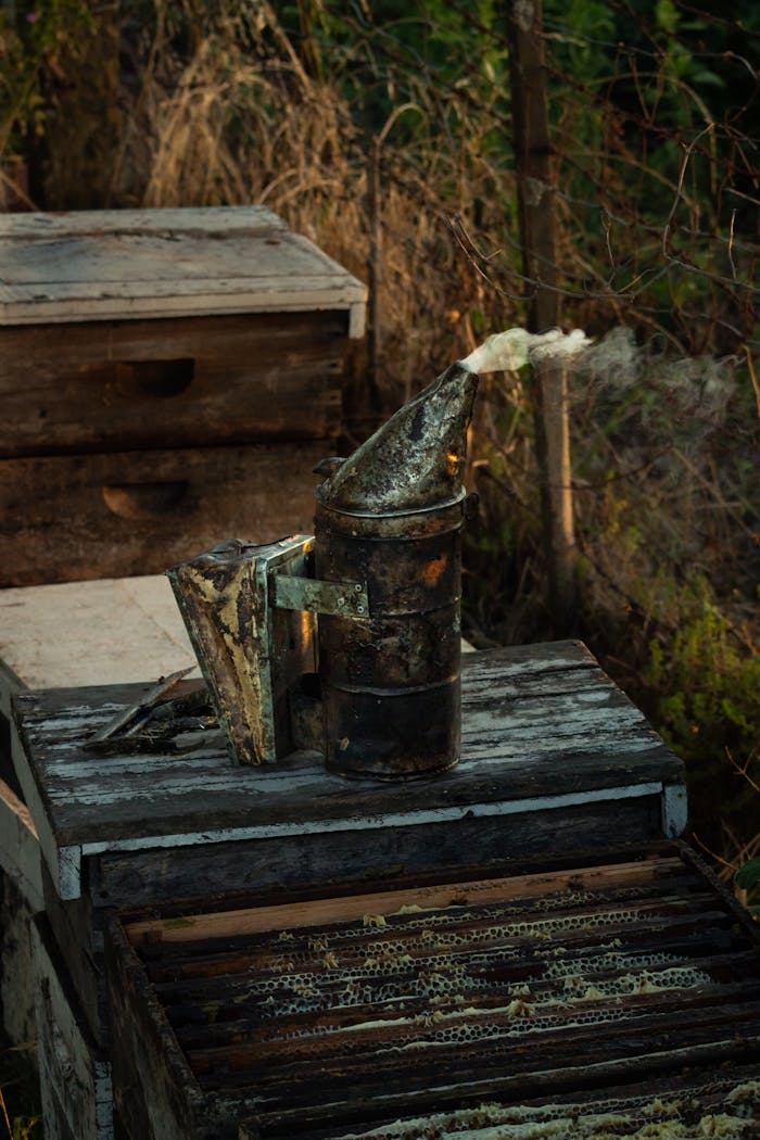 journey-01 Vintage beekeeping setup with smoker and hive boxes in Carreras, Argentina.